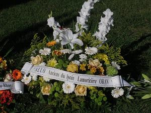 2012 11 01 NOVEMBRE MAZARGUES  (18) PAR GUY MONTANER
